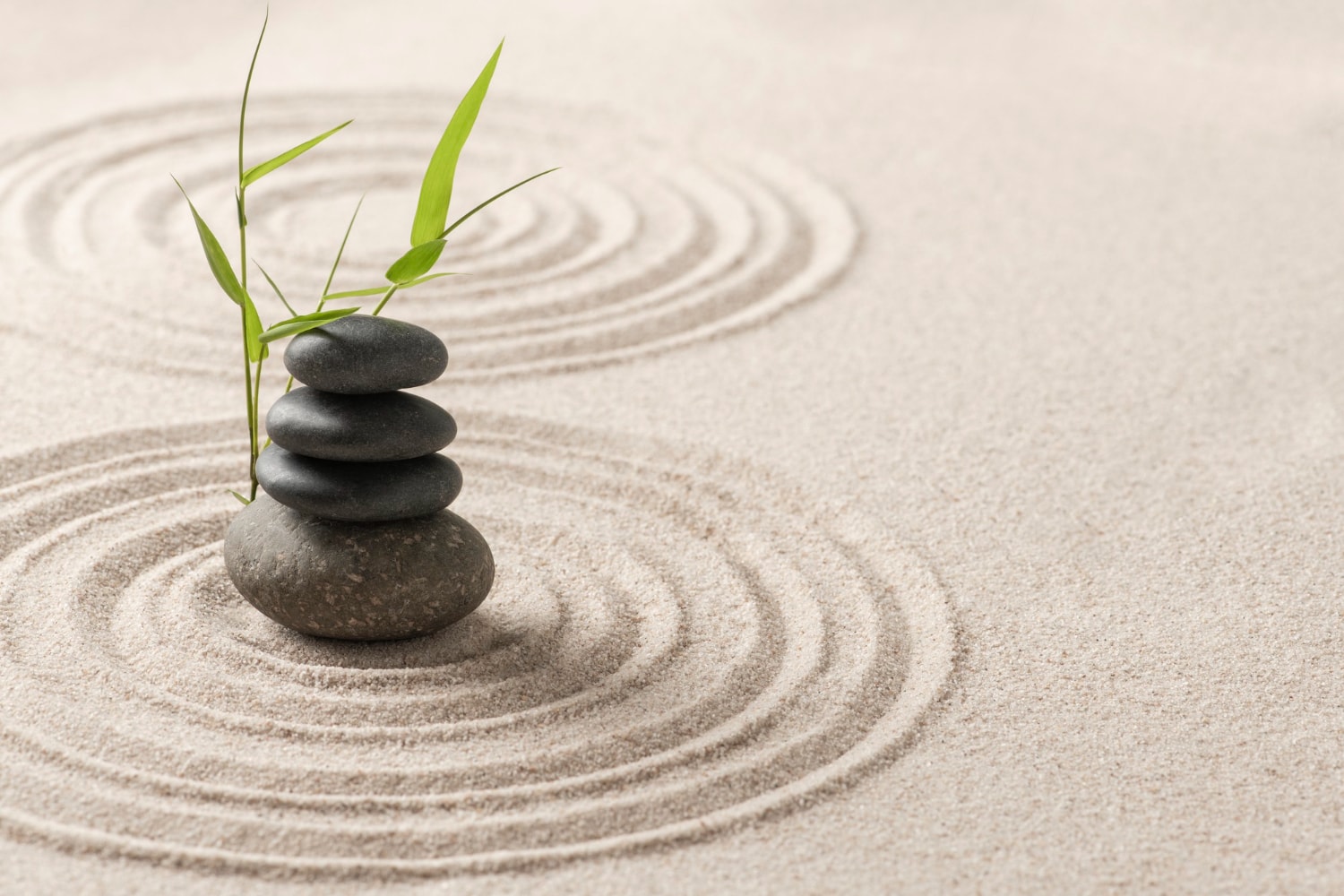 corso mindfulness